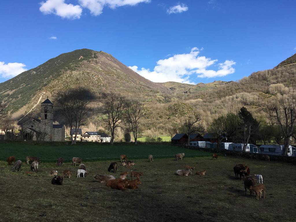 Camping Boneta Барруэра Экстерьер фото